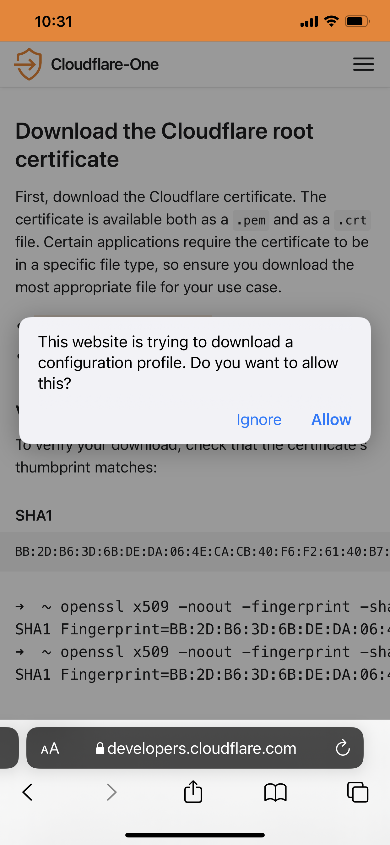 iOS: Allow certificate download